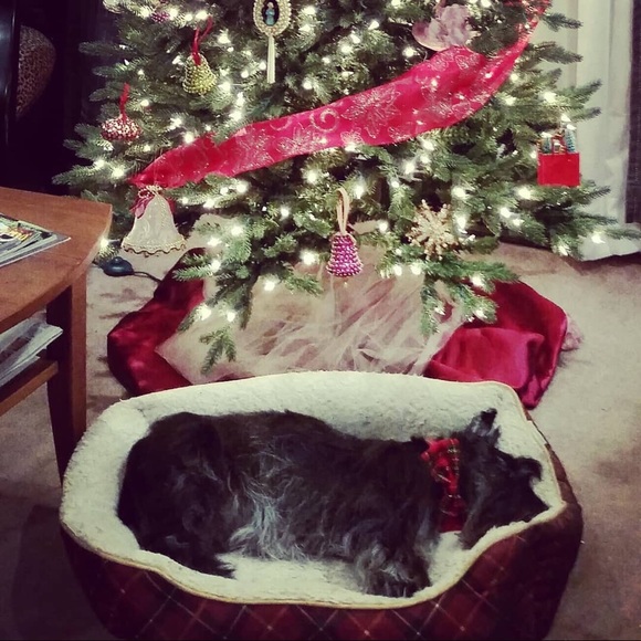 ❤️The love of my life RIP 12/2/18❤️ - Picture 7 of 7